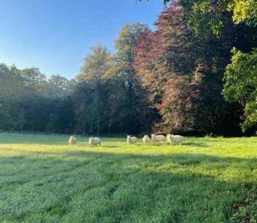 Scotshouse House | Newly renovated Cottage with private trout fishing set in beautiful wildlife estate
