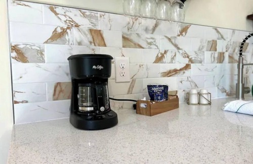 Bearss Plaza House | Newly Renovated Funky Eclectic Home