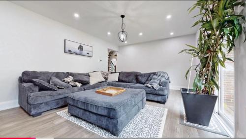 Whitchurch-Stouffville Villa | Newly renovated luxury villa in Stouffville, ON