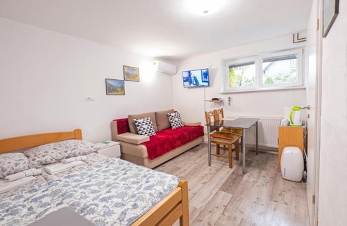 Ljubljana Apartment | Newly renovated Studio with Air Conditioner & FREE Parking