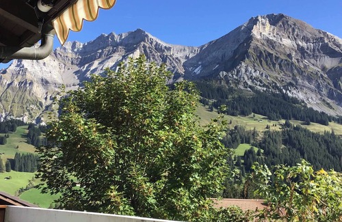 Adelboden Apartment | Newly renovated vacation apartment in a quiet location, close to the village center.