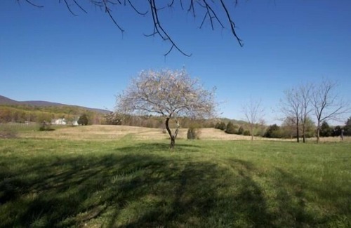 Afton House | Next Door to Veritas Vineyard Charlottesville-Afton Mountain Virginia