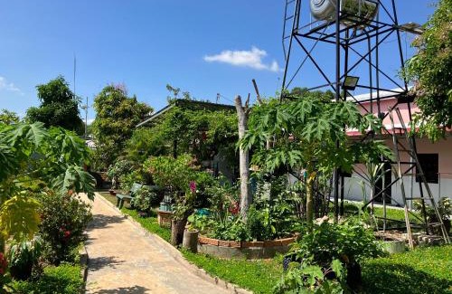 Duc Linh House | Nhà Nghỉ Sakura Homestay