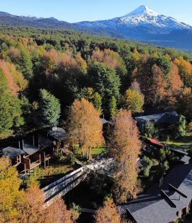 Pucon Hotel | NI-NEWEN Hotel & Lodge