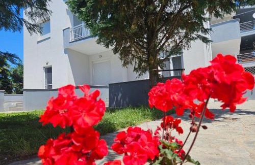 Keramoti Apartment | Nias Apartments 102