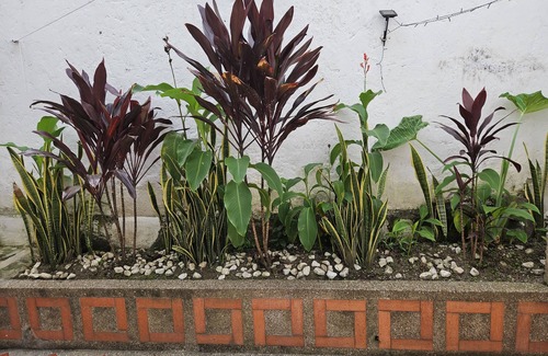 Astorga Apartment | Nice and big apartment with garden in Poblado