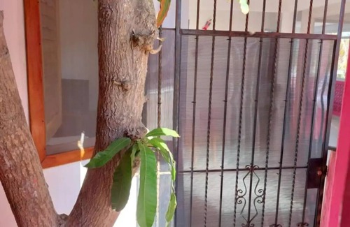 San Pedro Pochutla Apartment | Nice apartment close to the main beach and love beach