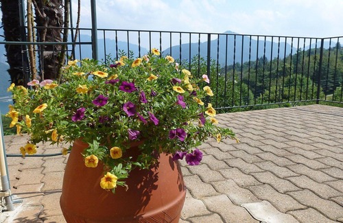 Carona Apartment | Nice apartment for 3 guests with WIFI, TV, patio, pets allowed, panoramic view and parking