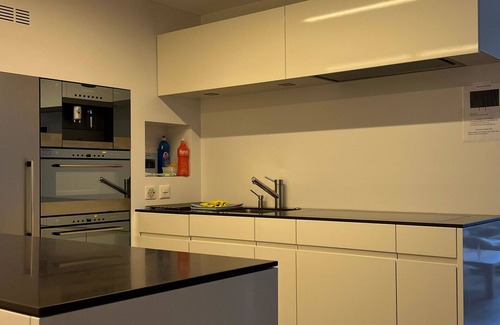Spiez Apartment | Nice apartment for 4 guests with WIFI, TV, balcony and pets allowed