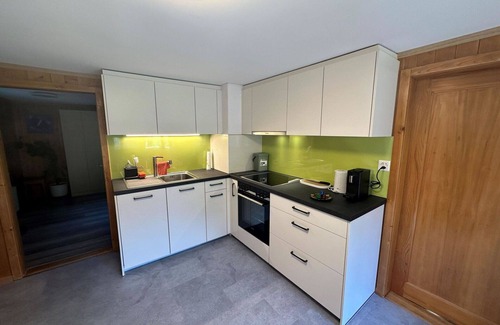 Frutigen Apartment | Nice apartment for 5 people with TV and balcony