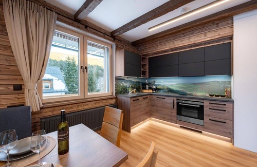 Dolni Morava Apartment | Nice apartment for 6 guests with WIFI, TV, terrace and parking