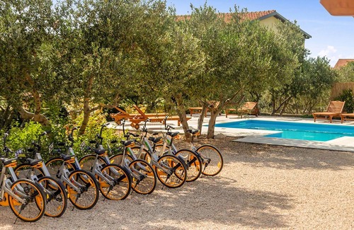 Bibinje Apartment | Nice apartment in Bibinje with WiFi