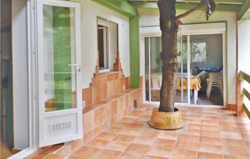 Sagone Apartment | Nice Apartment In Sagone With Kitchen