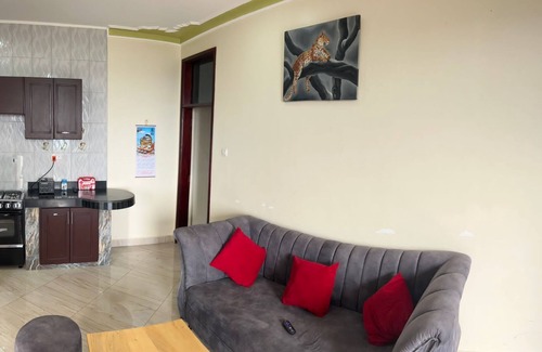 Kampala Apartment | Nice apartment with fiber optic internet 28 minutes from EBB.