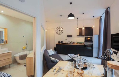 Voltaire - Saint Amour Apartment | Nice atypical apartment with A/C - Garibaldi