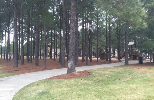 Spring House | Nice Family Friendly, WalMart and HEB & Wallgreens Walking, Iron Man