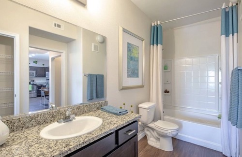 Gibson Springs Apartment | Nice luxury 2 bed 2 bath appartment