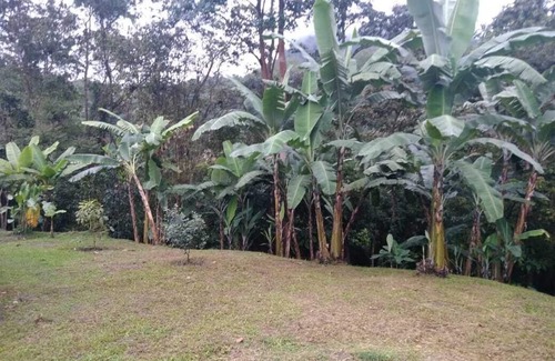 Tena Cottage | Nice rest house in the natural reserve of Pedro Palo