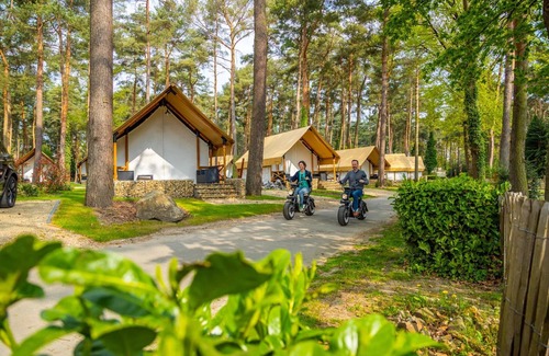 Zutendaal Ski Chalet | Nice Studio With Kitchenette 16 km From Maastricht