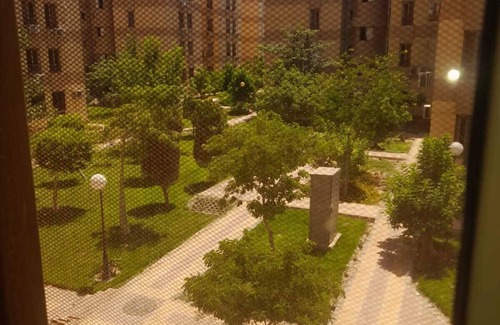 Sheikh Zayed City Apartment | Nice three bed room flat
