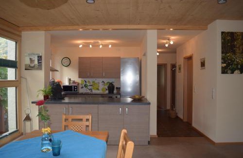 Schlierbach Apartment | Nichtraucherferienwohnung-Neckarblick ZE-2022-74-WZ-118A