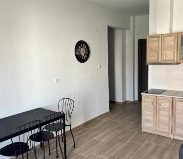 Ierissos Apartment | Nicks apartments