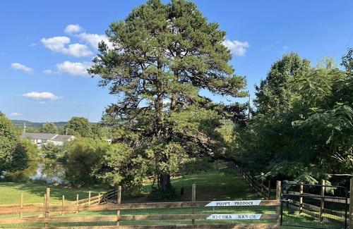 Berea Hotel | Nicura Ranch