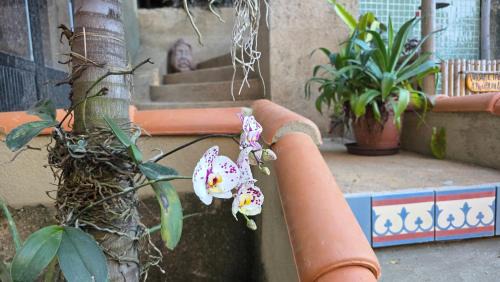 Santa Teresa Bed & Breakfast | Nid aigle 3 Suites