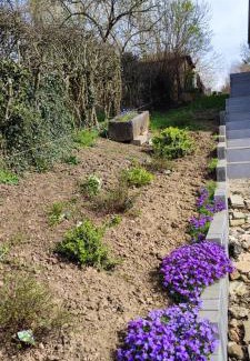 Rochefort Apartment | Niddouillet