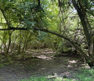 Calamuchita Department Villa | Nido del Búho (Eule Nest)