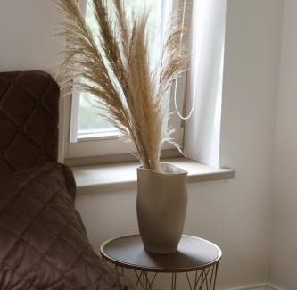 Nida Apartment | Nidos Baltija