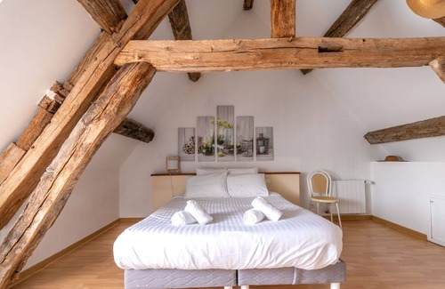 Lassay-sur-Croisne House | Nigaudiere: The Hellebores - Beauval & Castle