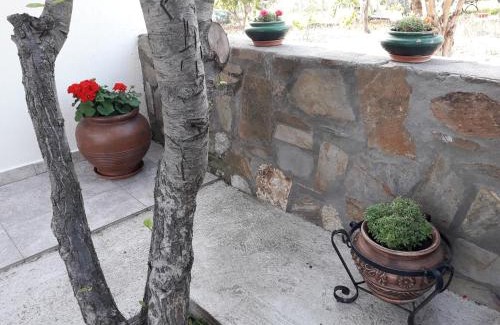 Agios Nikolaos Apartment | Nikiforos House