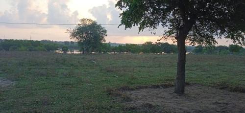 Kuchchaveli Other | Nilaveli Irakkandy Lagoon Tent Campground