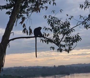 Jinja Apartment | Nile river cottages