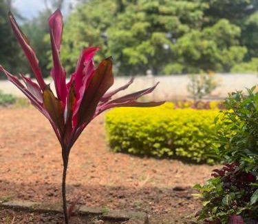 Coonoor Villa | Nilgiri Comfort Stay