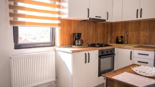 Tirgu Jiu Apartment | Nina House