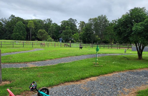 Nana Glen Cottage | nine7nine - animal feeding, creek, pedal cart track. Family-Friendly Cottage.
