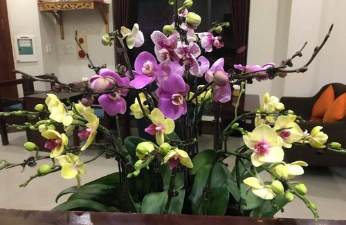 Yen Phong Hotel | Ninh Phong Hotel