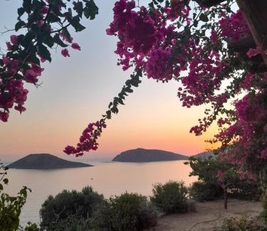 Kalymnos Apartment | Niotis Studios