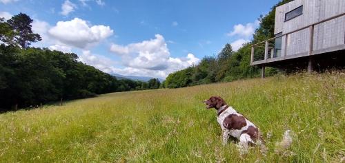 Ballymacarbry Other | Nire Valley Eco Camp