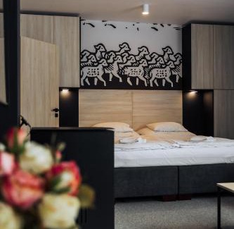 Ruzomberok Apartment | Nise Mountain Apartman A25 Hrabovo - Malinô Brdo
