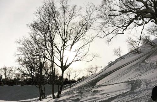 Niseko Bed & Breakfast | Niseko Kashinoya