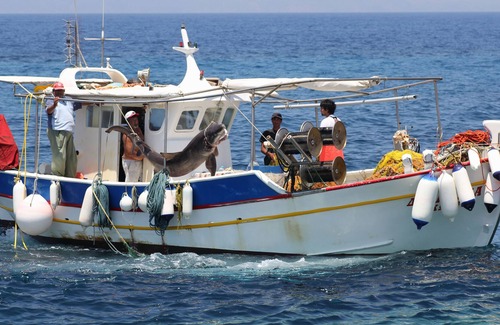 Mandraki House | Nisiros Marinos House (Mandraki Nisyros)