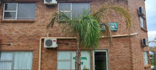 Koster Bed & Breakfast | Nite Owl B&B