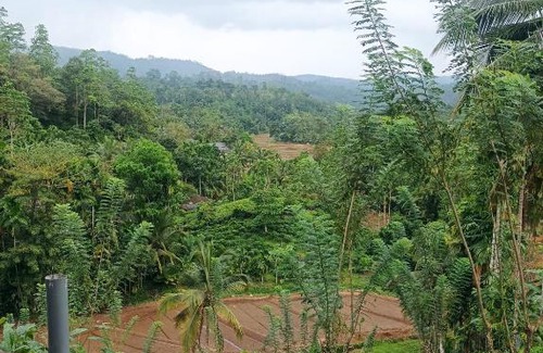 Kotapola House | Niwahana sinharaja
