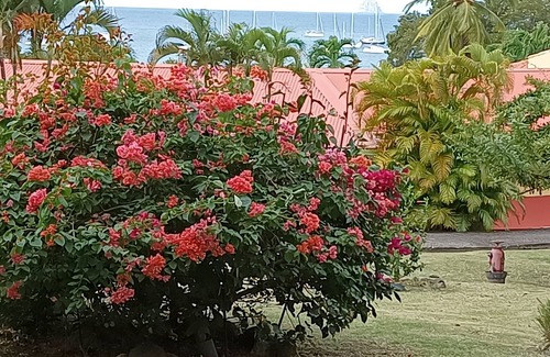Sainte-Anne Apartment | nLarge Studio,sea view,air conditioning,beach, optional swimming pool,car rental