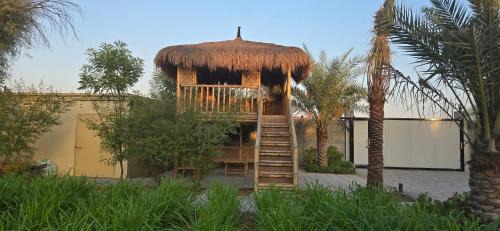 Ras Al Khaimah House | NMY Farm2