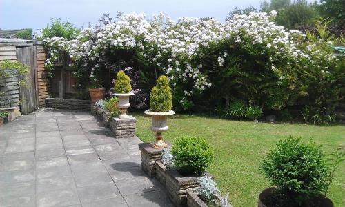 Wolverhampton Bed & Breakfast | No.9