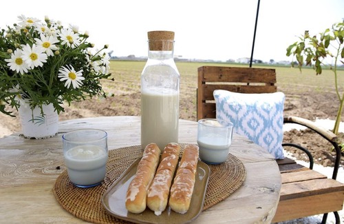 Almassera House | No need for a car! A stylish Rustic Escape in a distinct rural location!